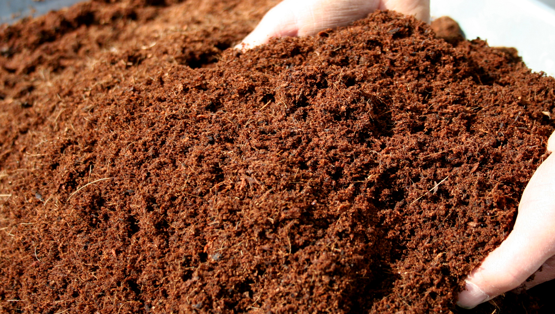 misya-tarim-urunler-cocopeat misya-tarim-urunler-cocopeat